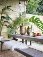Mutabilis Dining set - Image 4