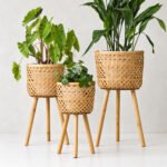 Opuesto Plant Holder - Image 2