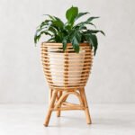 Piante Plant Holder - Image 2