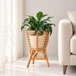 Piante Plant Holder