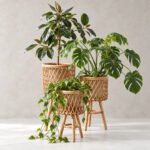 Ekme Plant Holder