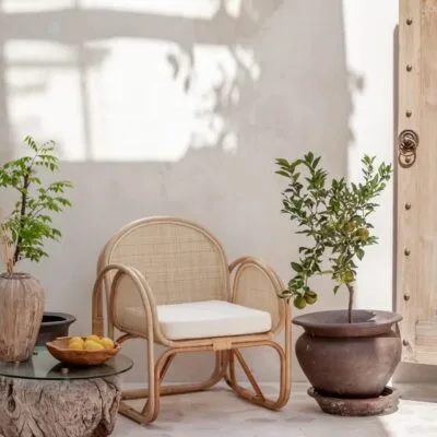 Dome Chair