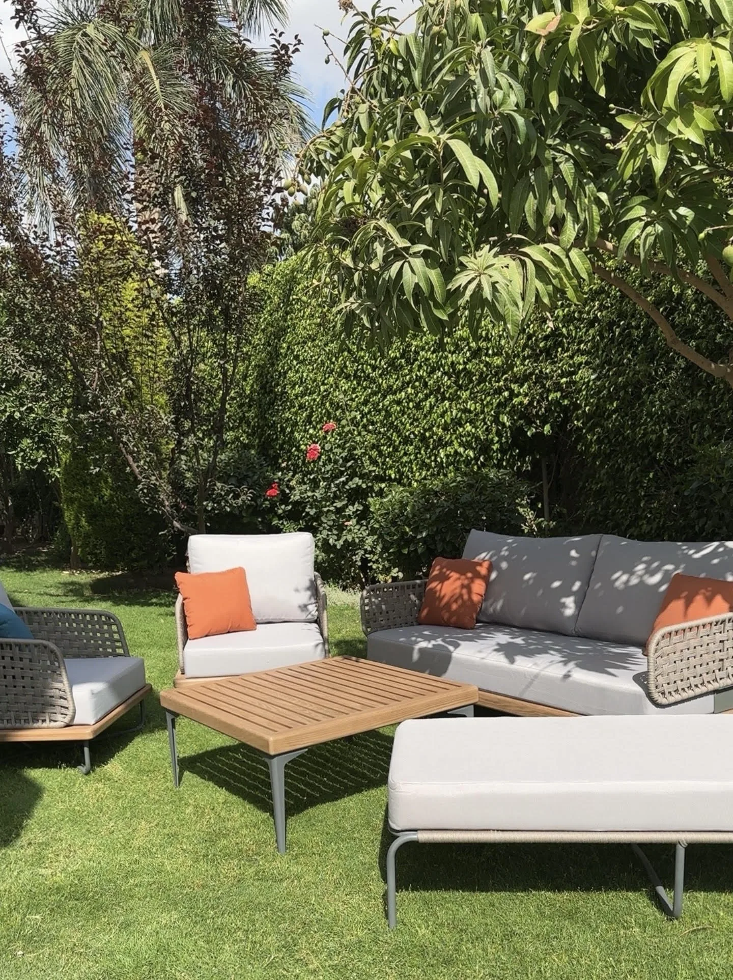 Inversul Set - Image 4