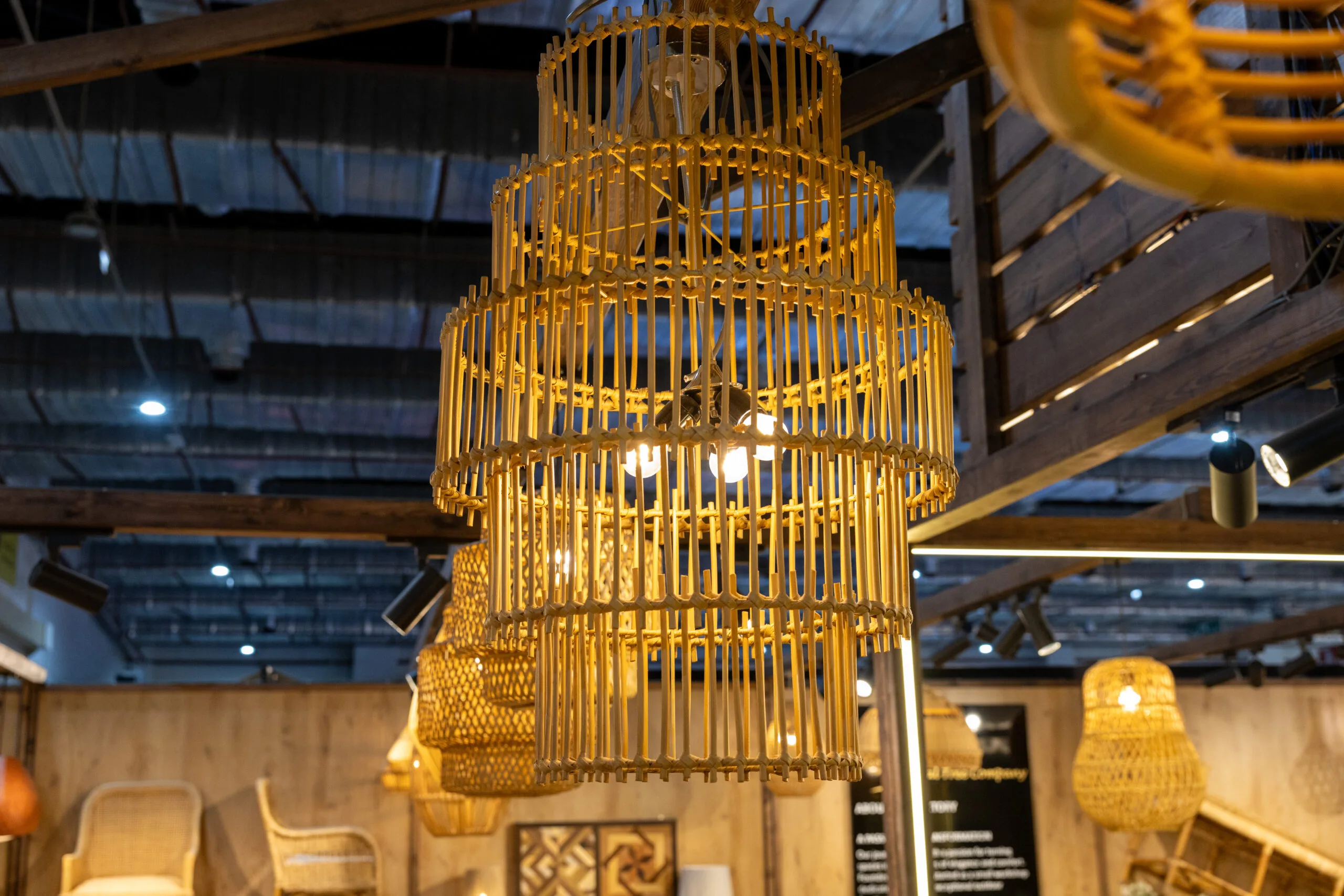 Sole pendant light - Image 1